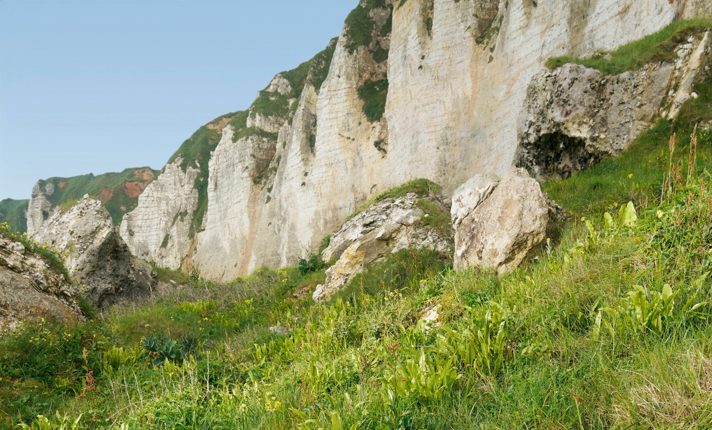 Bannière